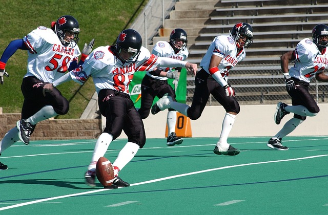 书写属于自 书写属于自